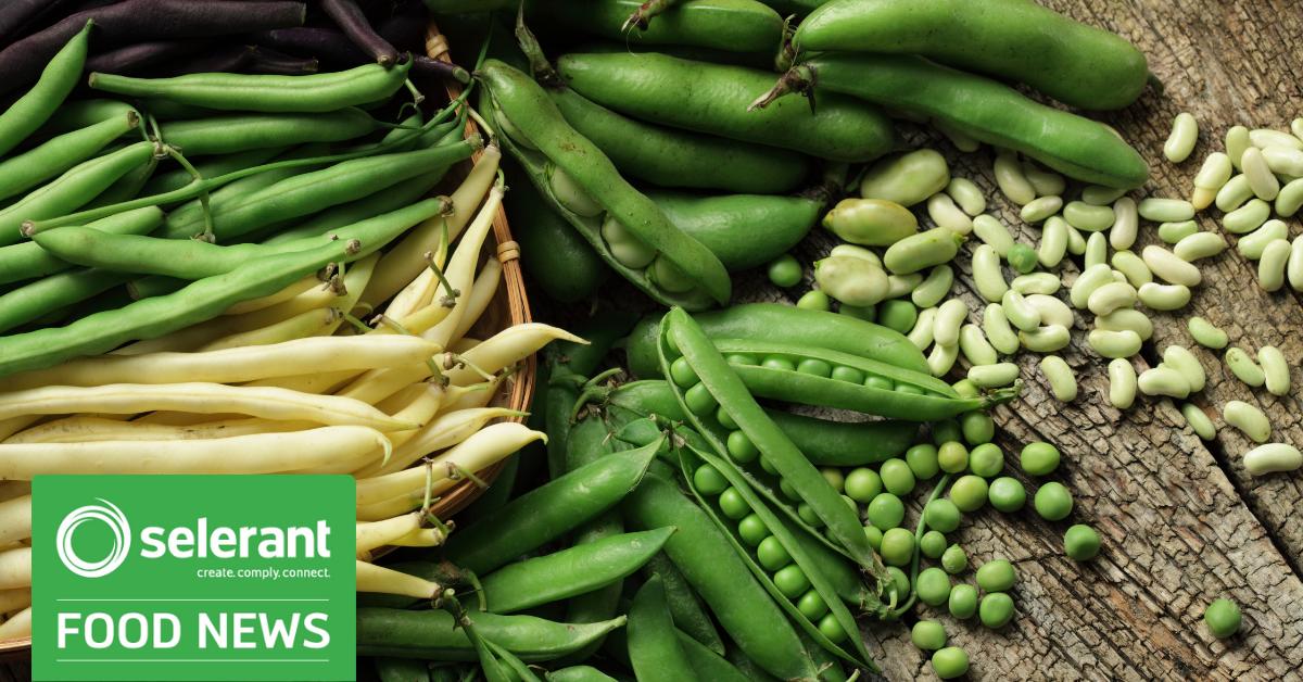 EU Safety assessment of Pea and Rice protein fermented by Shiitake